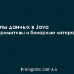 Типы данных в Java — примитивы и бинарные литералы