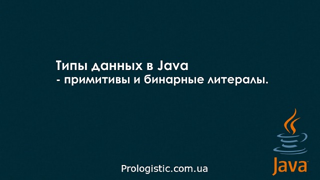 Типы данных в Java - примитивы и бинарные литералы