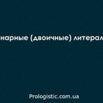 Бинарные (двоичные) литералы в Java