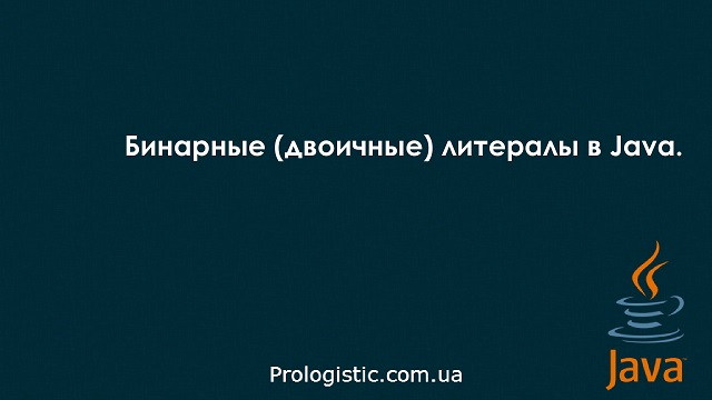 Бинарные (двоичные) литералы в Java