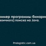 Пример программы бинарного (двоичного) поиска на Java